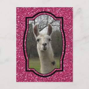 Bright N Sparkling Llama in Hot Pink Postcard
