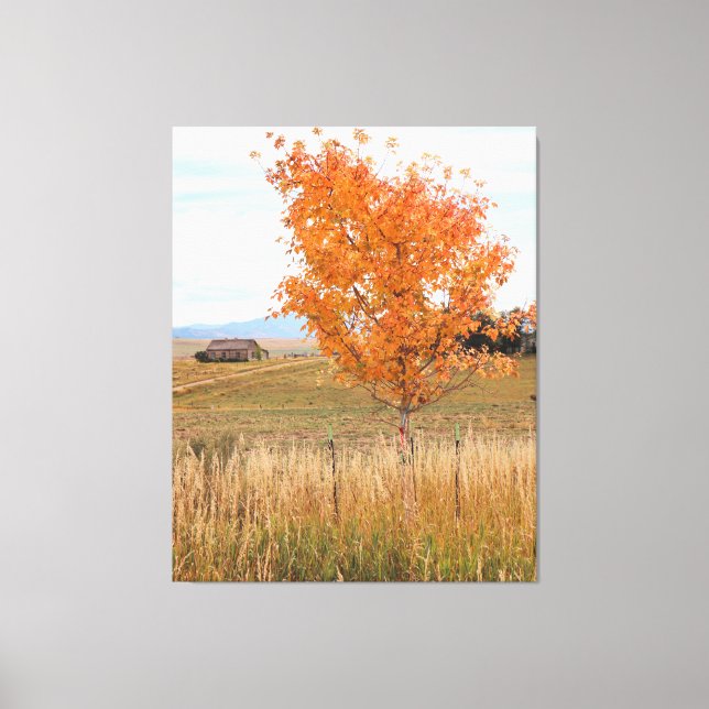 Bright October  Canvas Print (Front)