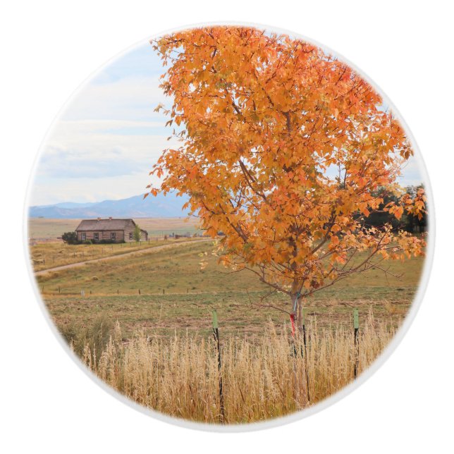 Bright October  Ceramic Knob (Front)