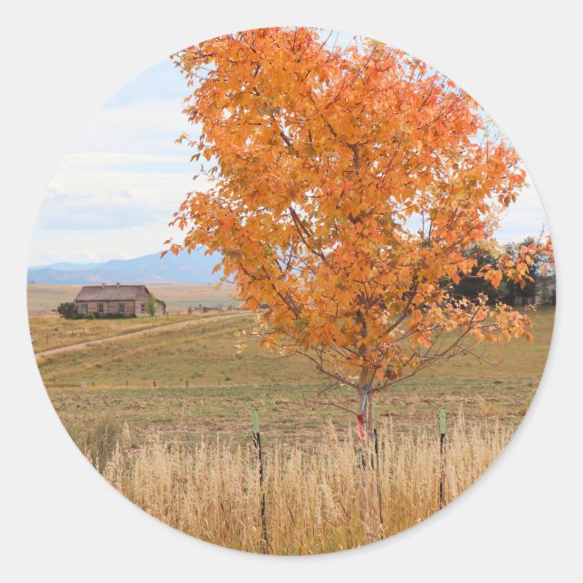 Bright October  Classic Round Sticker (Front)