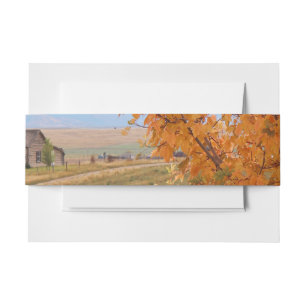 Bright October Invitation Belly Band