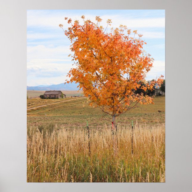 Bright October  Poster (Front)