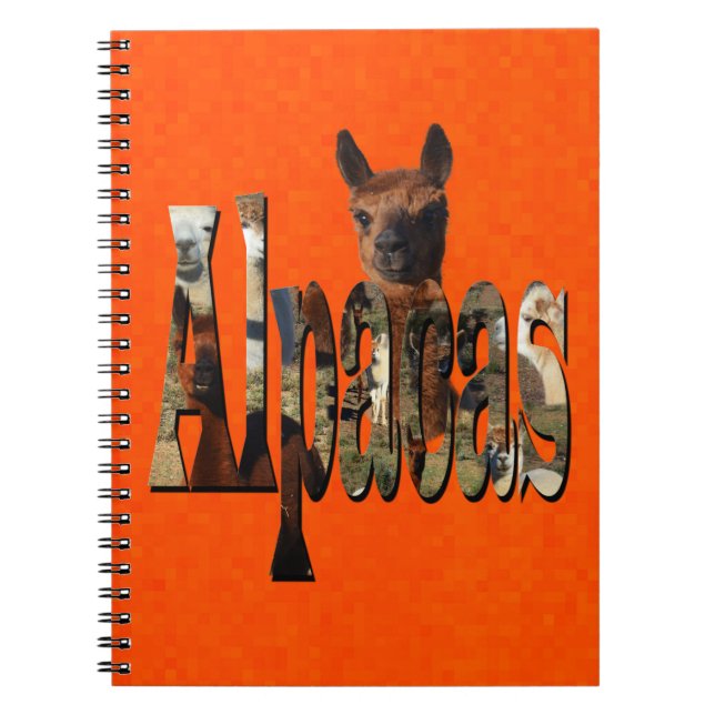 Bright Orange Alpaca,  Notebook (Front)