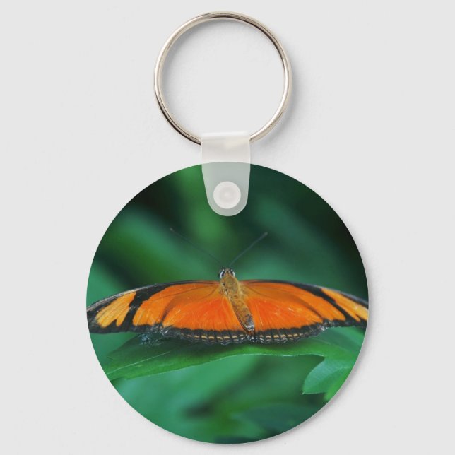 Bright Orange and Black Butterfly on Leaf Key Ring (Front)