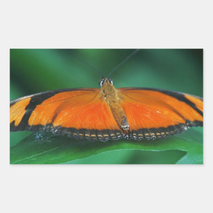 Bright Orange and Black Butterfly on Leaf Rectangular Sticker
