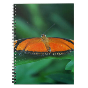 Bright Orange and Black Butterfly on Leaf Spiral Notebook