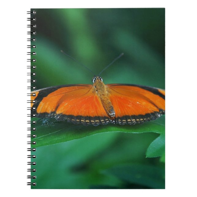 Bright Orange and Black Butterfly on Leaf Spiral Notebook (Front)