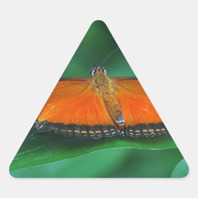 Bright Orange and Black Butterfly on Leaf Triangle Sticker (Front)