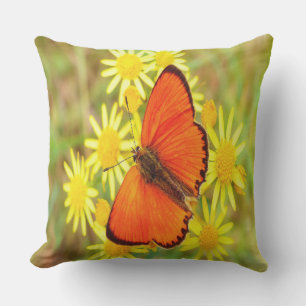 Bright Orange Butterfly Yellow Flowers Outdoor Cushion