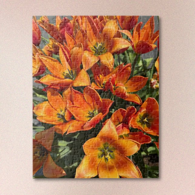 Bright Orange Calypso Tulip Jigsaw Puzzle (Creator Uploaded)