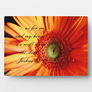 Bright Orange Daisy Plaque