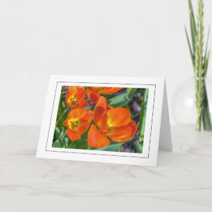 Bright orange flowers greeting card