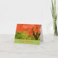 BRIGHT ORANGE LEAVES ON TREE /HAPPY BIRTHDAY