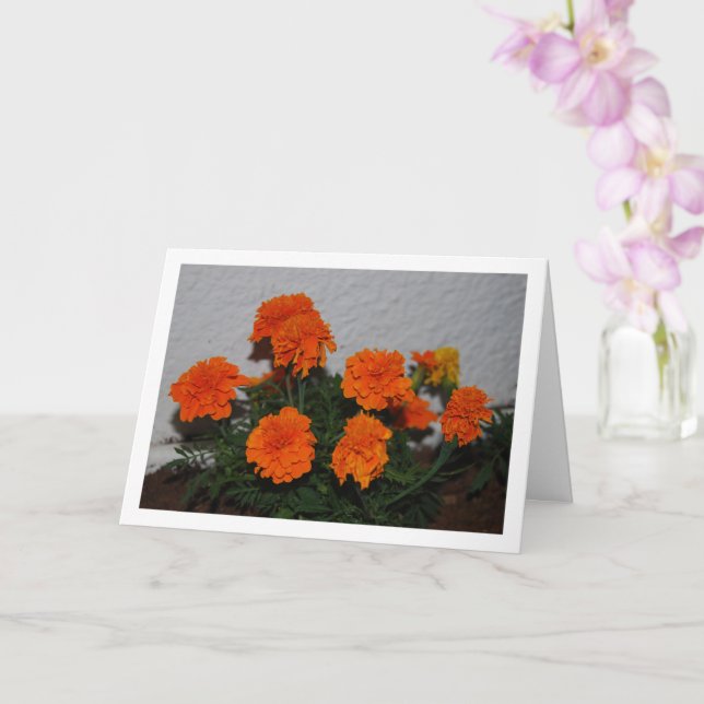 Bright Orange Marigold Flower Portrait Card (Orchid)