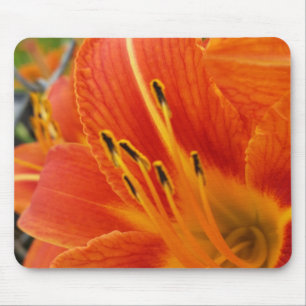 bright orange mouse pad