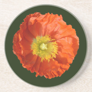 Bright Orange Poppy Flower Coaster