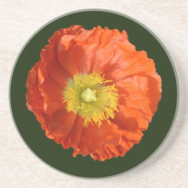 Bright Orange Poppy Flower Coaster (Front)