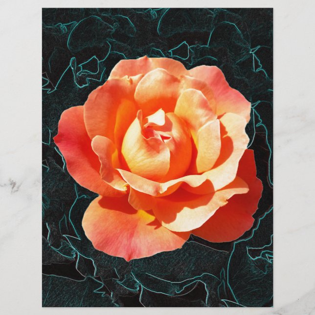 Bright orange rose (Front)