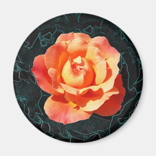 Bright orange rose magnet
