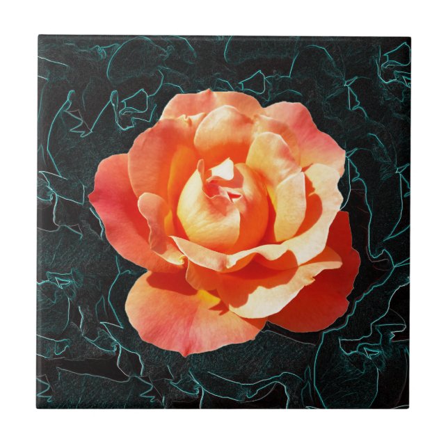 Bright orange rose tile (Front)