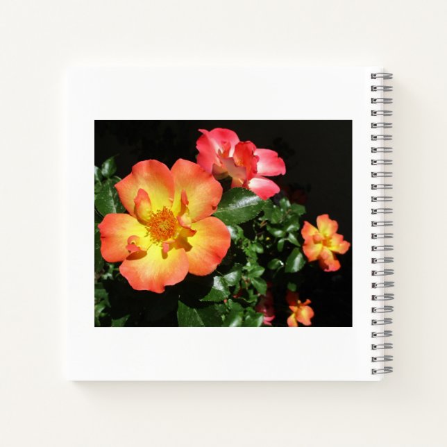 Bright Orange Roses - Dark Aspect Spiral Notebook (Back)