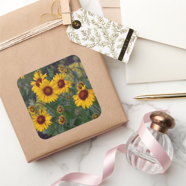 Bright Orange Sunflower Bloom Square Sticker (Gifting)