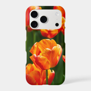 Bright orange tulips in the park