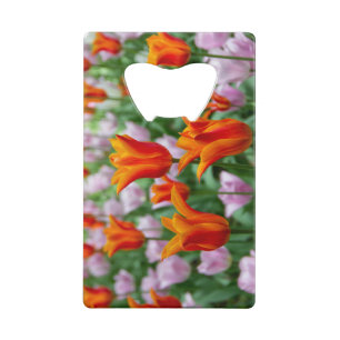 Bright orange tulips in the park