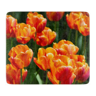 Bright orange tulips in the park    cutting board