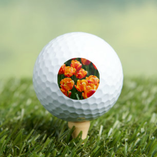 Bright orange tulips in the park    golf balls
