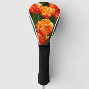 Bright orange tulips in the park golf head cover