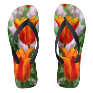 Bright orange tulips in the park jandals