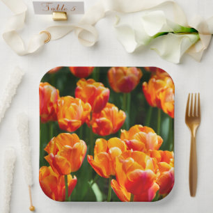 Bright orange tulips in the park paper plate