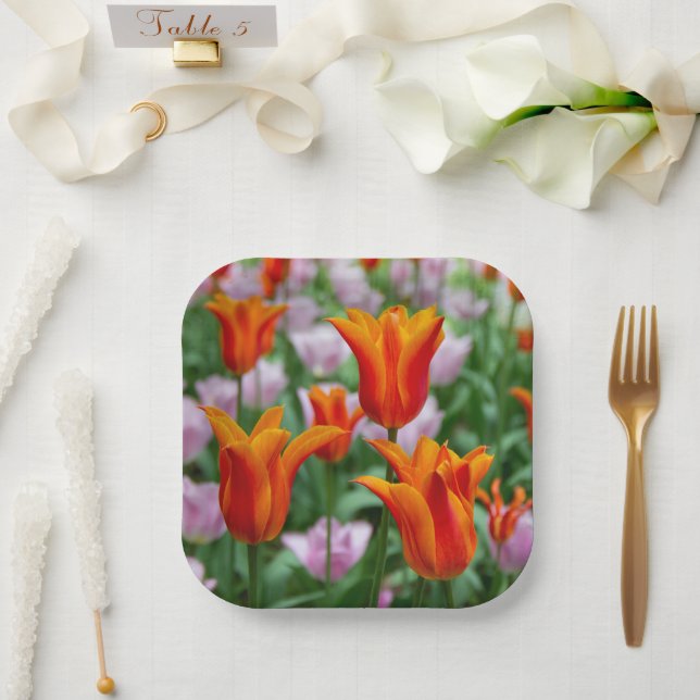 Bright orange tulips in the park  paper plates (Wedding)