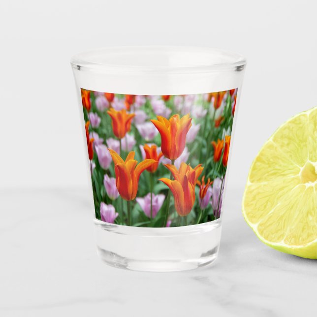 Bright orange tulips in the park   shot glass (Front)