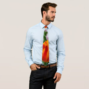 Bright orange tulips in the park tie
