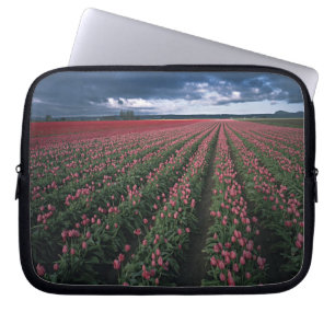 Bright pink and red tulips glow under dark laptop sleeve