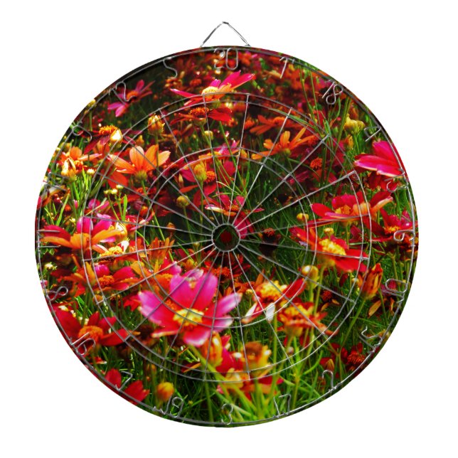 Bright pink and yellow Daisy Wild flowers Dartboard (Front)