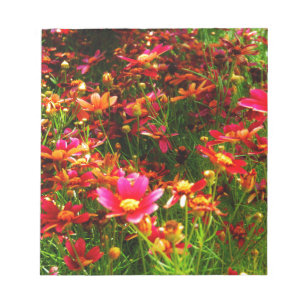Bright pink and yellow Daisy Wild flowers Notepad