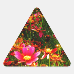 Bright pink and yellow Daisy Wild flowers Triangle Sticker