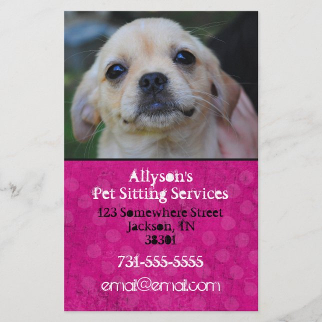 Bright Pink Background Pet Sitting Flyers (Front)