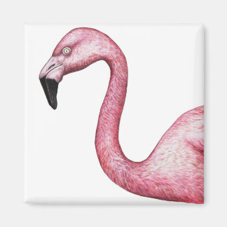 Bright Pink Flamingo Illustration Magnet