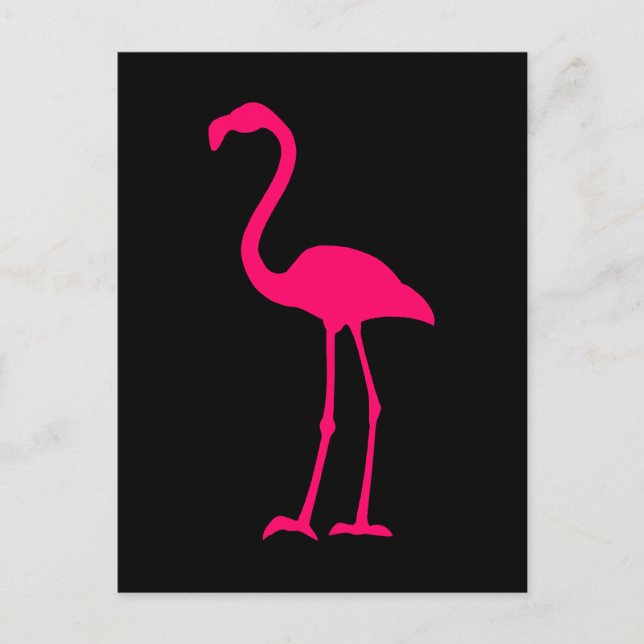 Bright Pink Flamingo Postcard (Front)
