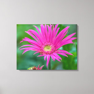 Bright pink flower canvas print