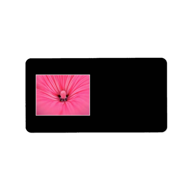Bright Pink Flower. Label (Front)