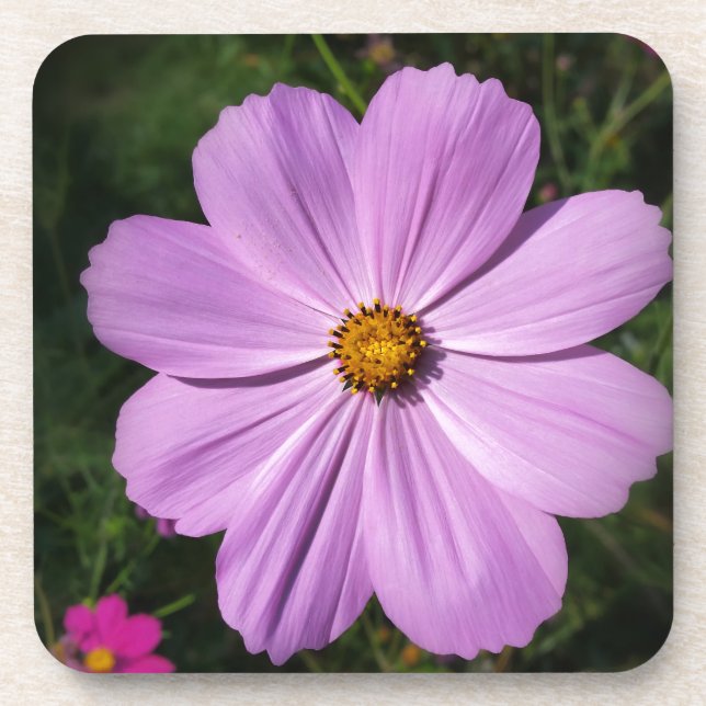 bright pink flowers coaster (Front)