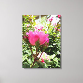 bright,pink,flowers,floral,photography,picture,ima canvas print