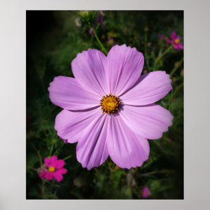 bright pink flowers poster