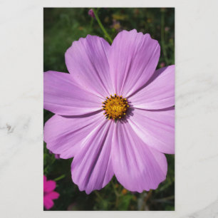 bright pink flowers stationery