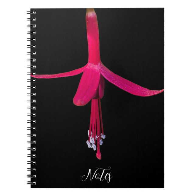 Bright Pink Fuchsia Flower on Black Notebook (Front)
